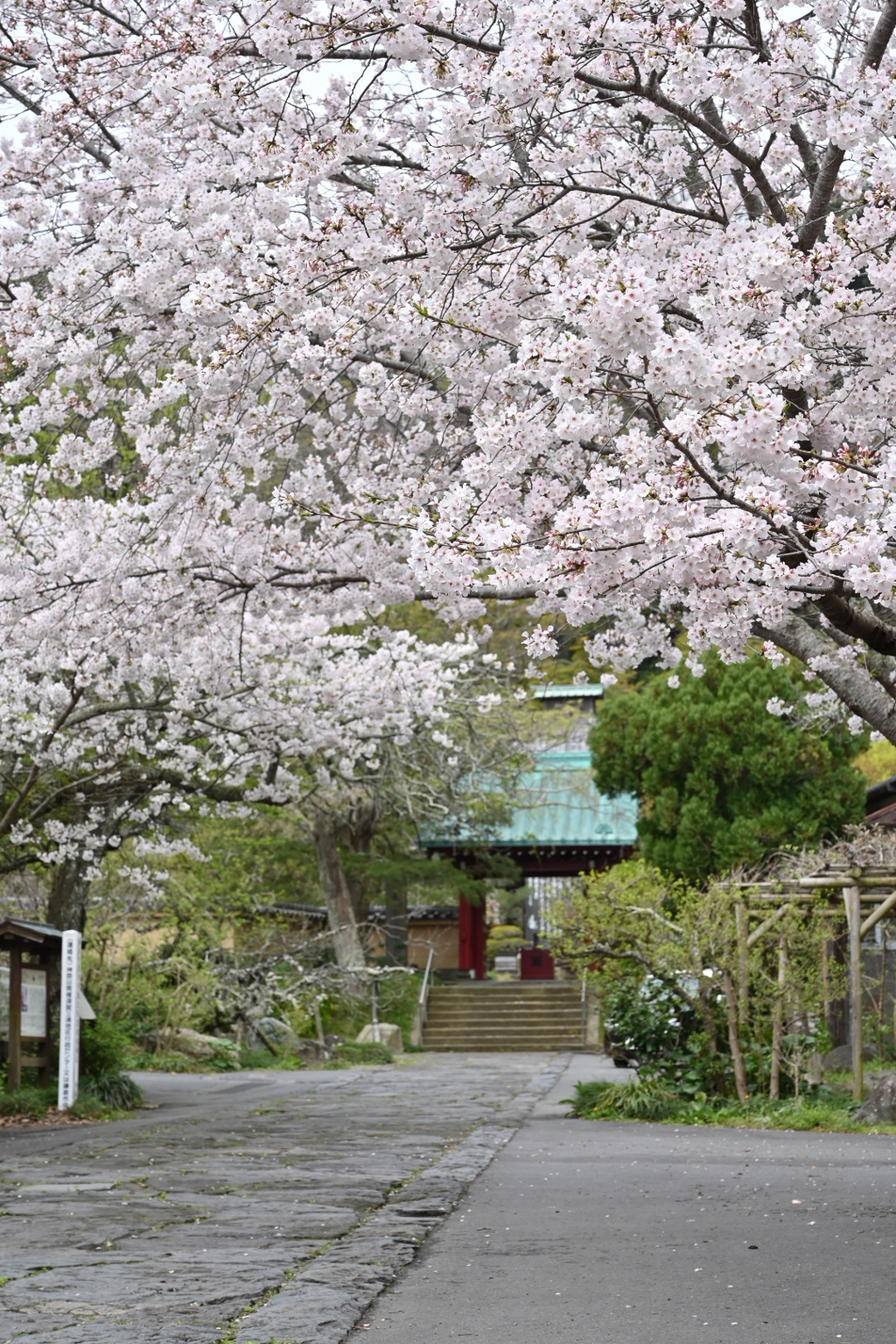 鎌倉、光則寺
