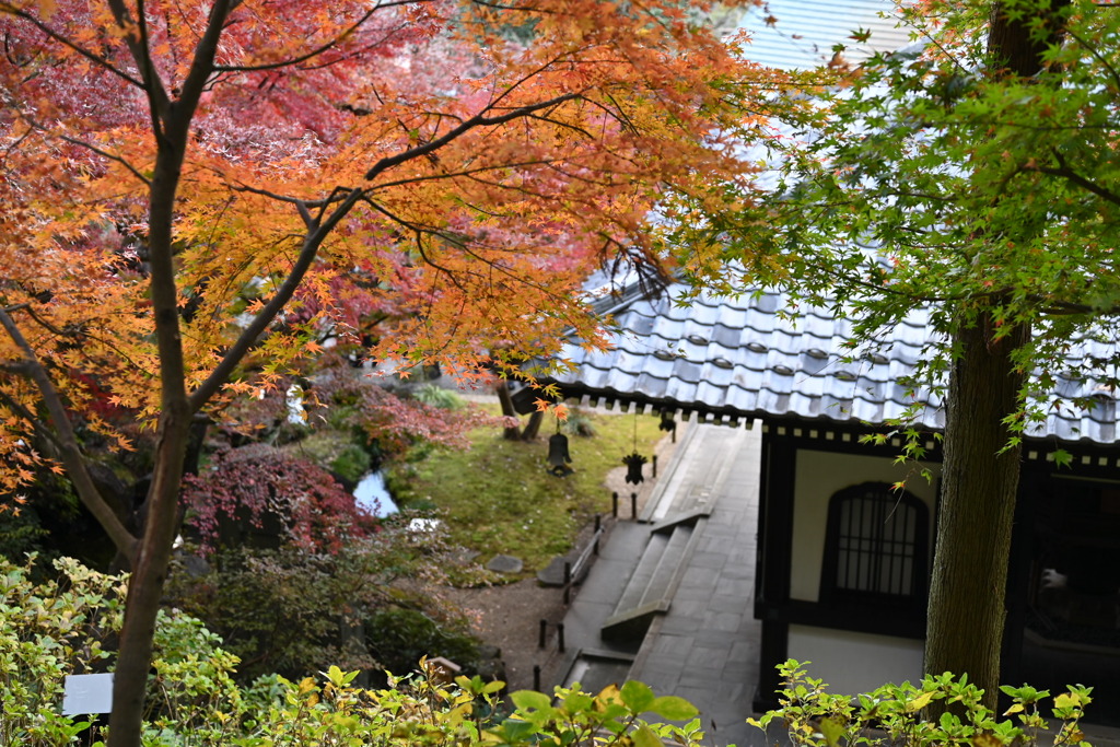 鎌倉・長谷寺