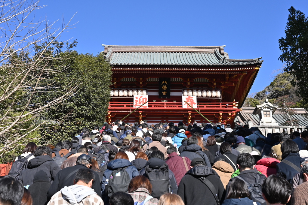 初詣2.鶴岡八幡宮