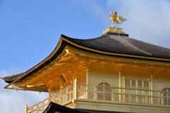 金