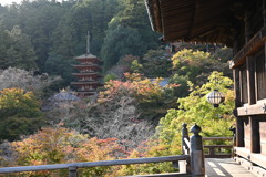 長谷寺、五重塔