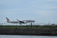 京浜島つばさ公園