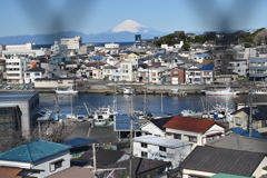 神奈川県、三崎港