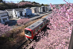 三浦海岸駅