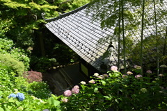 鎌倉、長谷寺