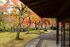 箱根美術館、紅葉