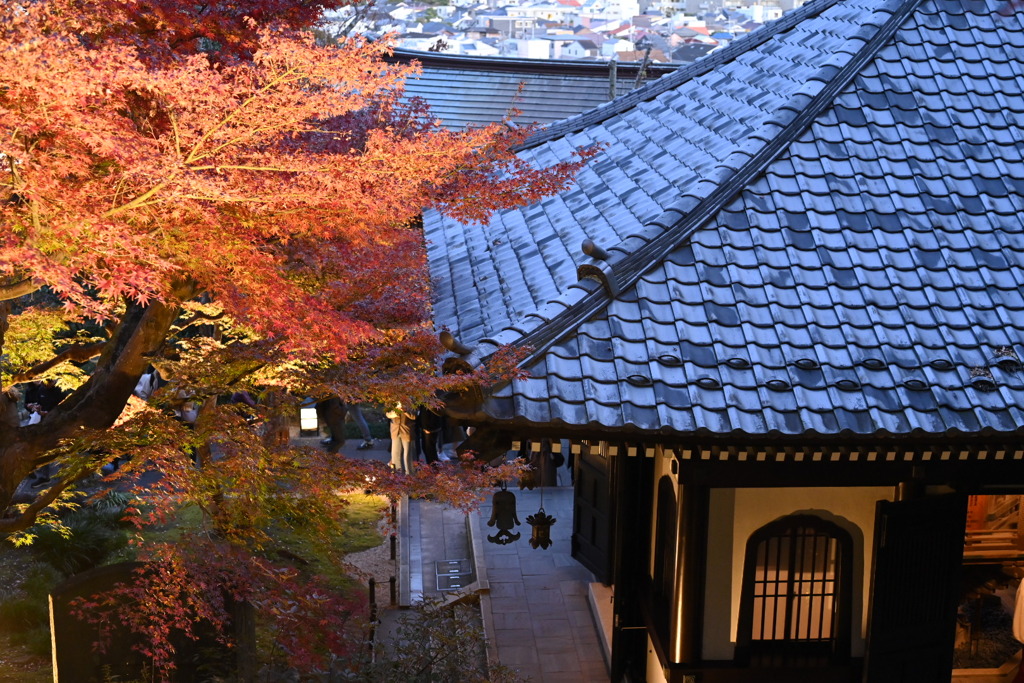 鎌倉・長谷寺ライトアップ