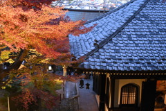 鎌倉・長谷寺ライトアップ
