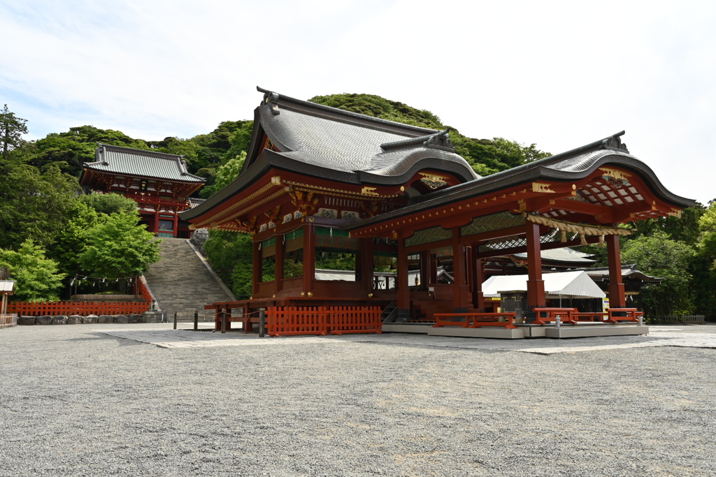 鎌倉、鶴岡八幡宮