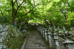 大山登山、大山寺
