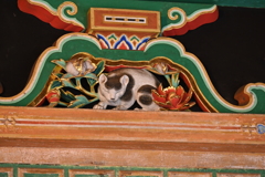 日光・眠り猫