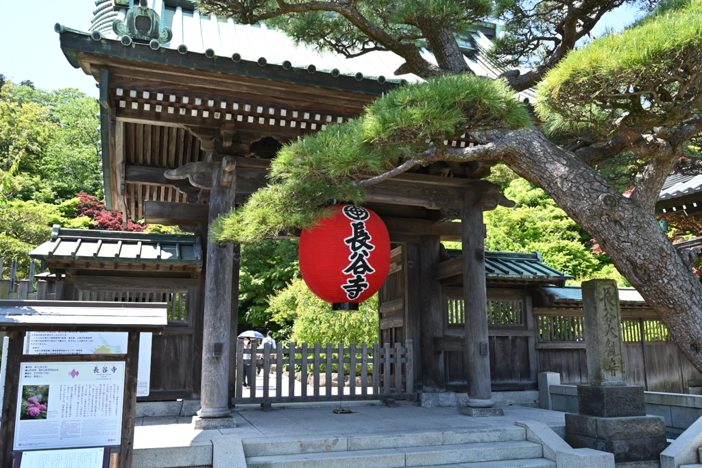 鎌倉、長谷寺