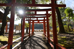 鳥居と光