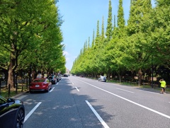 神宮外苑