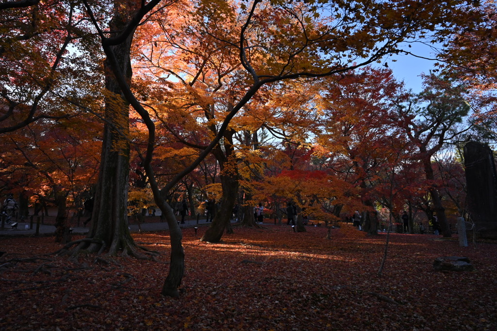 京都、東福寺