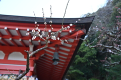 春近し、鎌倉