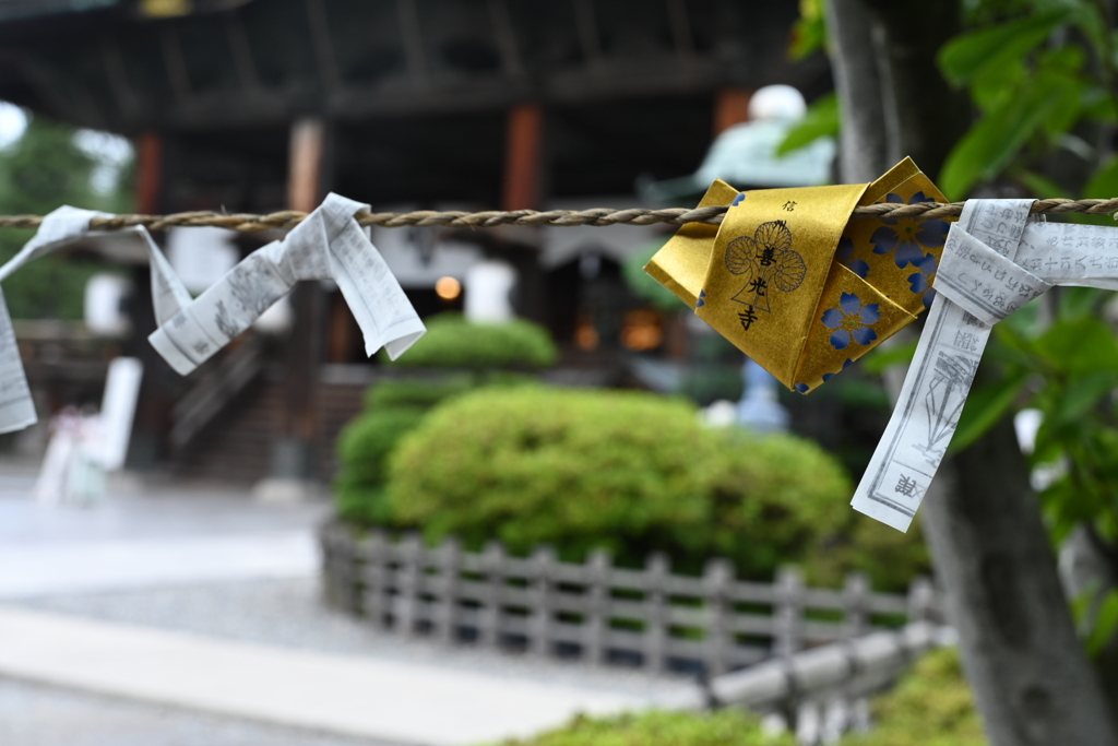 善光寺とおみくじ