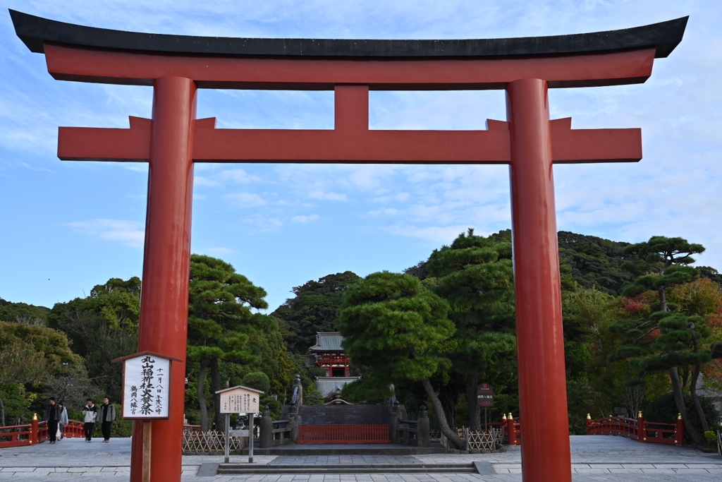 鎌倉、鶴岡八幡宮