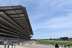 東京競馬場