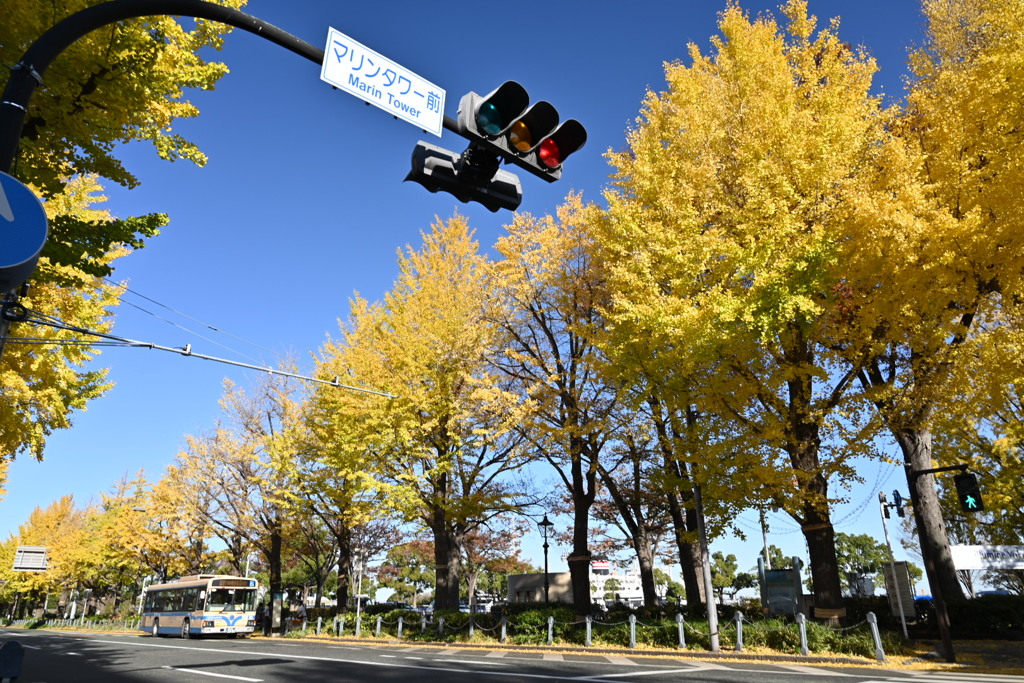 マリンタワー前