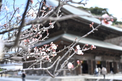 鎌倉、建長寺