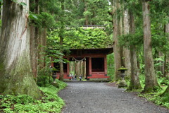 戸隠神社、奥社参道