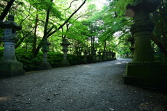 香取神宮参道