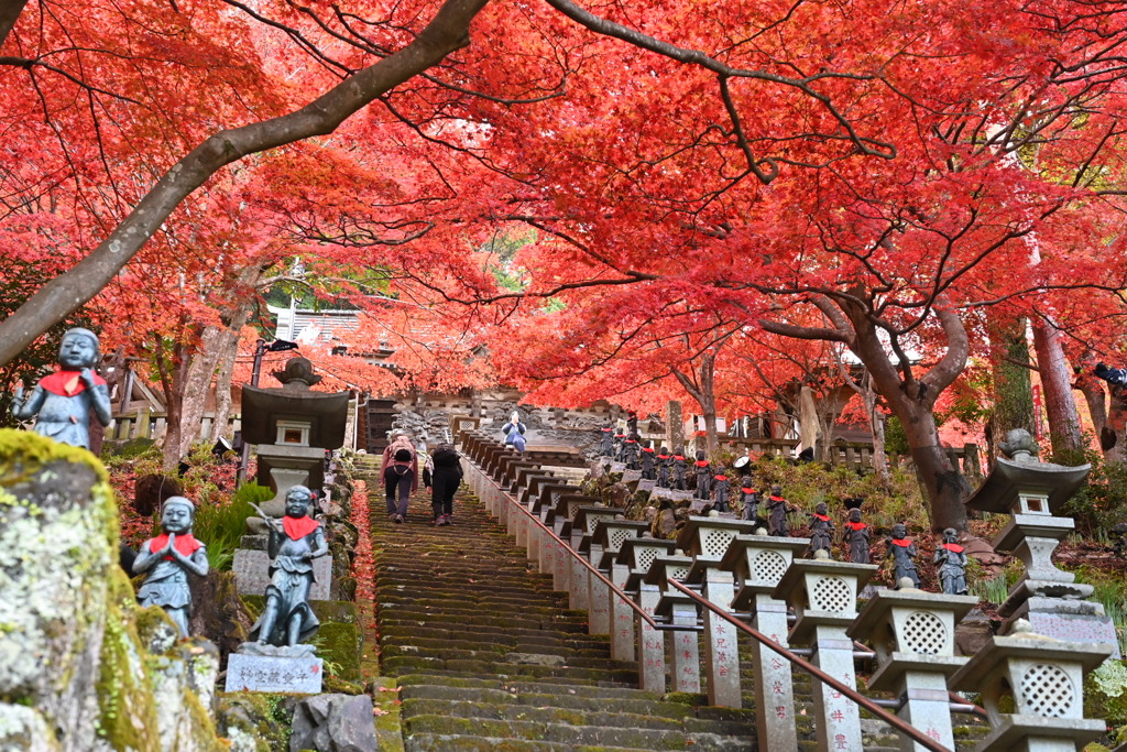 神奈川県、大山