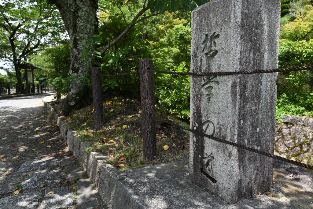 京都・哲学の道