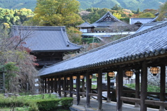 長谷寺回廊