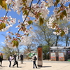 高尾山登頂