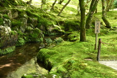 南禅寺・洗月泉