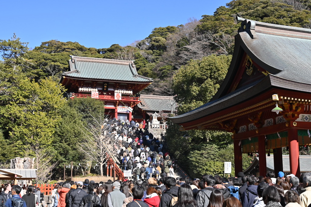 初詣、鎌倉、鶴岡八幡宮