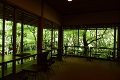 鎌倉カフェ