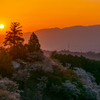 吉野の夕陽と桜