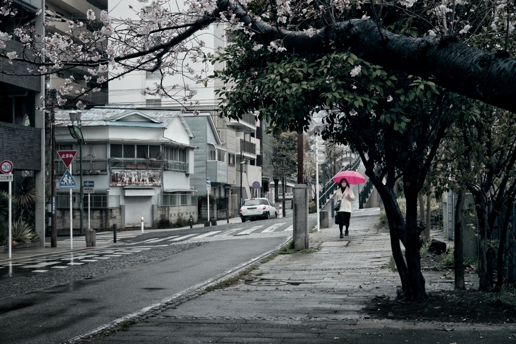 雨