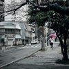 雨