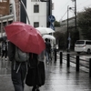 雨のストリートフォト