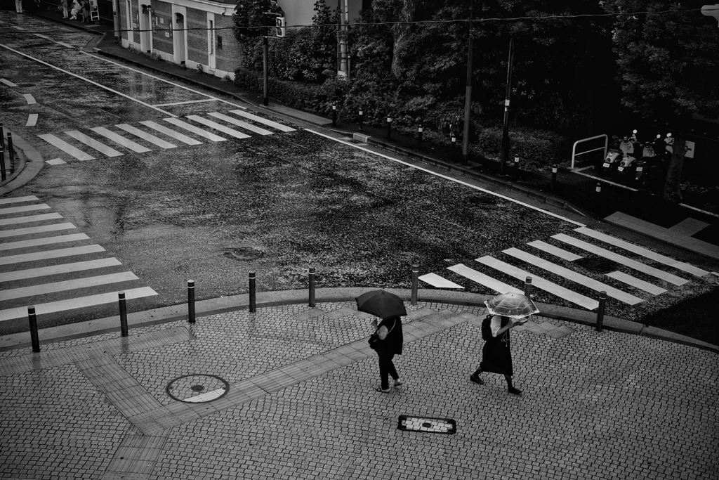 雨