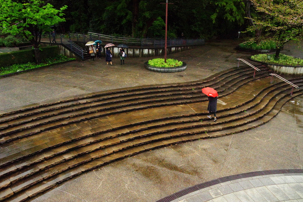 雨のフランス山