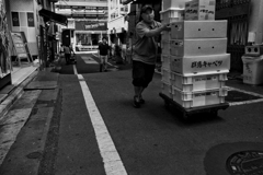 群馬キャベツ