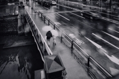 雨