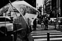 雨のストリートフォト