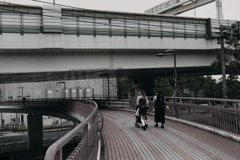 フランス橋にて