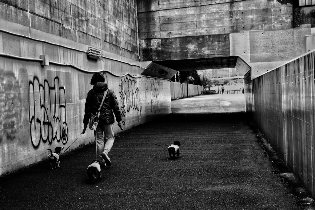 みなとみらいの橋の下