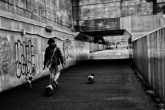 みなとみらいの橋の下