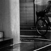 寒い雨の日に