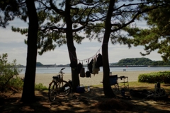 夏