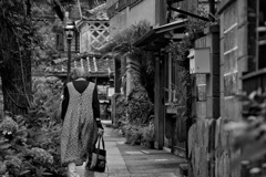 下田市ペリーロード