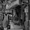 下田市ペリーロード